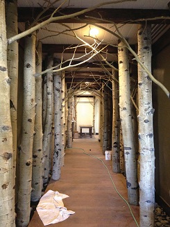 photo of aspen poles in hallway